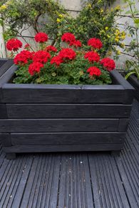 Premium Wooden Planters