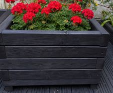 Premium Wooden Planters