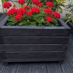 Premium Wooden Planters