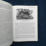 Stars, Shells and Bluebells - (Irish) Women Scientists and Pioneers Image 7