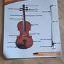 Beginner Violin and black case Image 10