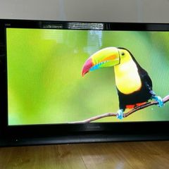 Panasonic VIERA 1080p Plasma TH-42PV70