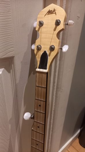 5 String Open Back Banjo