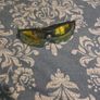 Sun glasses Pair Unwanted Gifs Image 2