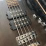 Warwick Rock Bass Image 2