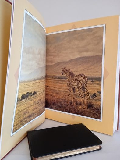 Out of Africa by Karen Blixen (HQ541)