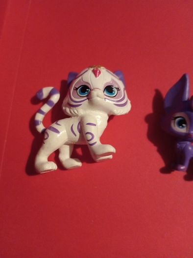 shimer and shine pets