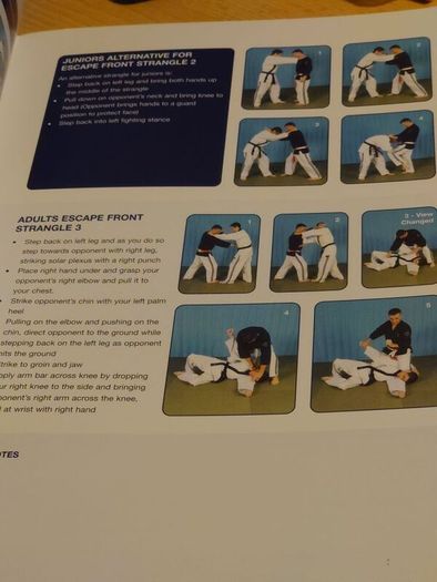Ju-Jitsu A Path For Beginners