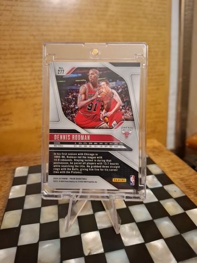 Dennis Rodman (free Postage)