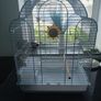 Birdcage Image 6