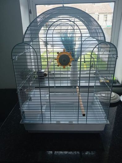 Birdcage