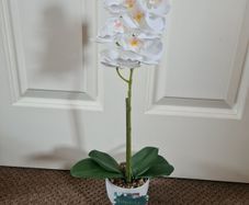 42 CM White Orchid in Ceramic Pot