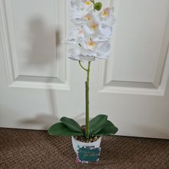 42 CM White Orchid in Ceramic Pot
