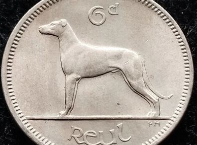 [#393] - Ireland 1968 | Irish 6p | Six Pence | Wolfhound | KM.13a | UNC