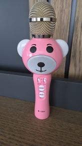 Karaoke Microphone