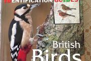 British Birds. Identification Guides.  Book
