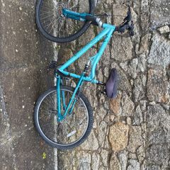 small adult/youth bike