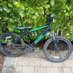 Raleigh