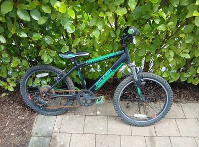 Raleigh 20''