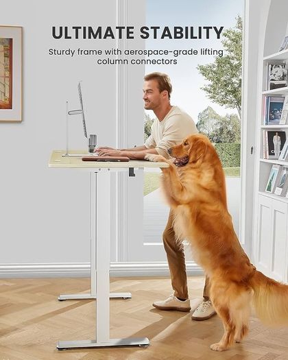 Height Adjustable Electric Standing Desk, 48 x 24 Inches Sit Stand up Desk, Memory Computer Home Office Desk