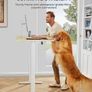 Height Adjustable Electric Standing Desk, 48 x 24 Inches Sit Stand up Desk, Memory Computer Home Office Desk Image 4