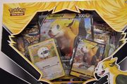 pokemon boltund v box