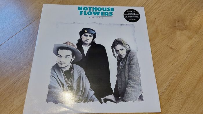 Batch Of Vinyl Records For Sale (15/15) - All Cleaned And In Excellent Condition