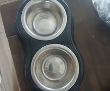 Dog/Cat Bowl