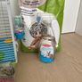 Complete Hamster Starter Kit Image 2