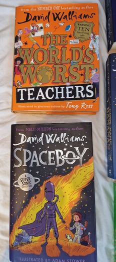 14 David Walliams Book Collection
