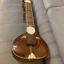 NEW Sitar + Flight Case Image 5