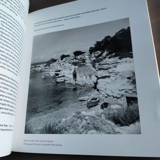 Miquel Barcelo - The African Work