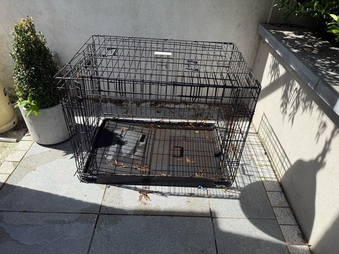FREE large Dog Cage
