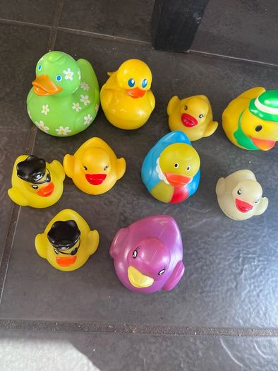 Ducks