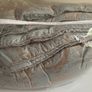 Cocoon Carrington Duck Egg Bedset Image 4