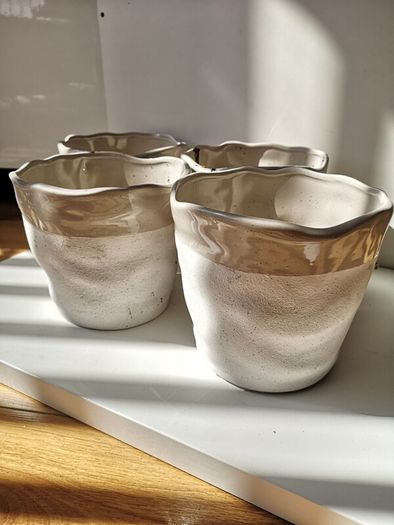 2 Ceramic White Plant Pots