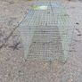 Larsen Trap - Magpie and Grey Crow Trap Image 2