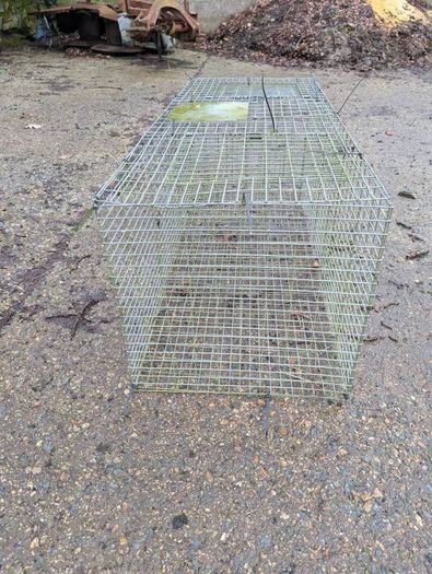 Larsen Trap - Magpie and Grey Crow Trap