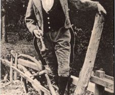 A Paddy Irish Boy Portrait Vintage Postcard Hely's Dublin Blackthorn Stick DB