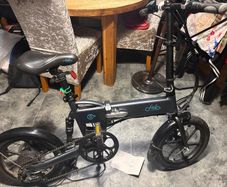 Fiido D2S Electric Bike