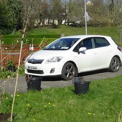 2012 Toyota Auris Hybrid Automatic.