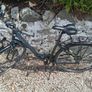 Ridgeback Avenida 6 Speed Image 5