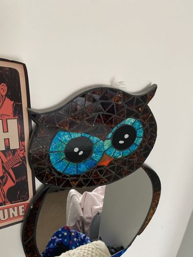 Mirror Hand made Owl