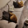 Sofa for sale Image 6