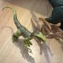 dinosaurs Image 2