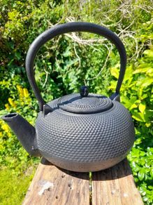 Vintage Cast Iron Kettle
