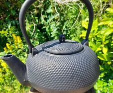 Vintage Cast Iron Kettle