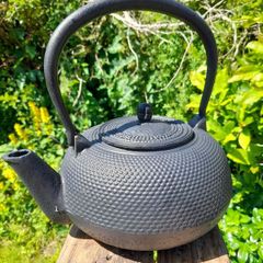 Vintage Cast Iron Kettle