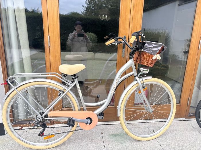 vintage ladies city bike