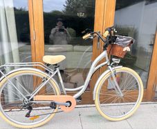 vintage ladies city bike